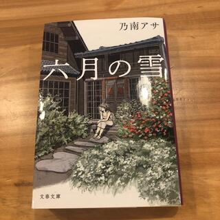 六月の雪(文学/小説)