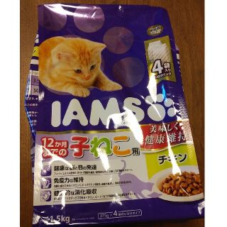 アイムス　子ねこ用　チキン(ペットフード)