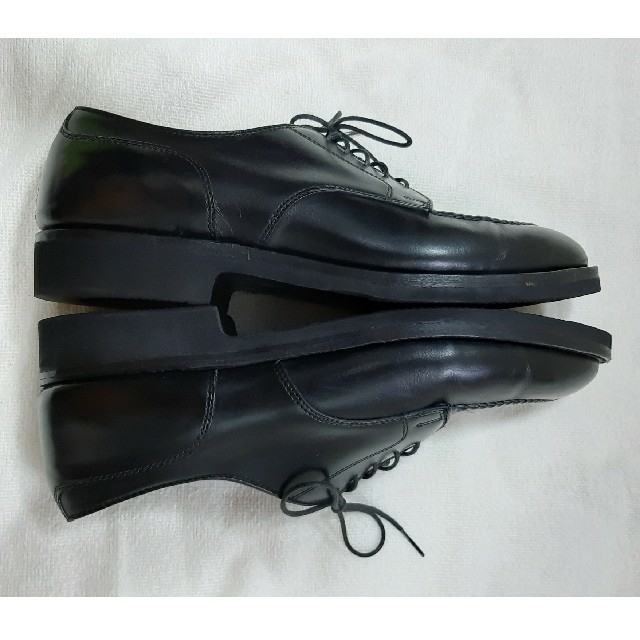 お取り寄せ】 Alden カーフレザー size10 モディファイドラスト ドレス