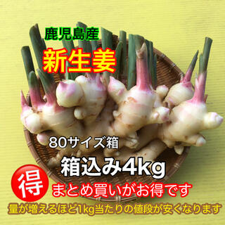新生姜　4kg   生育中農薬不使用　鹿児島産(野菜)