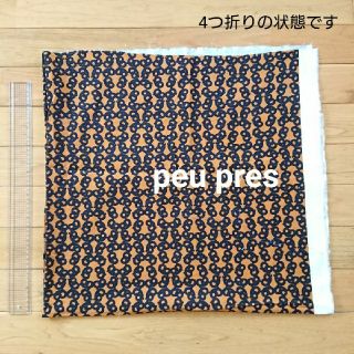 プープレ(peu pres)の☆peu pres プレッツェルプリントコーデュロイ AMBIDEX 生地(生地/糸)