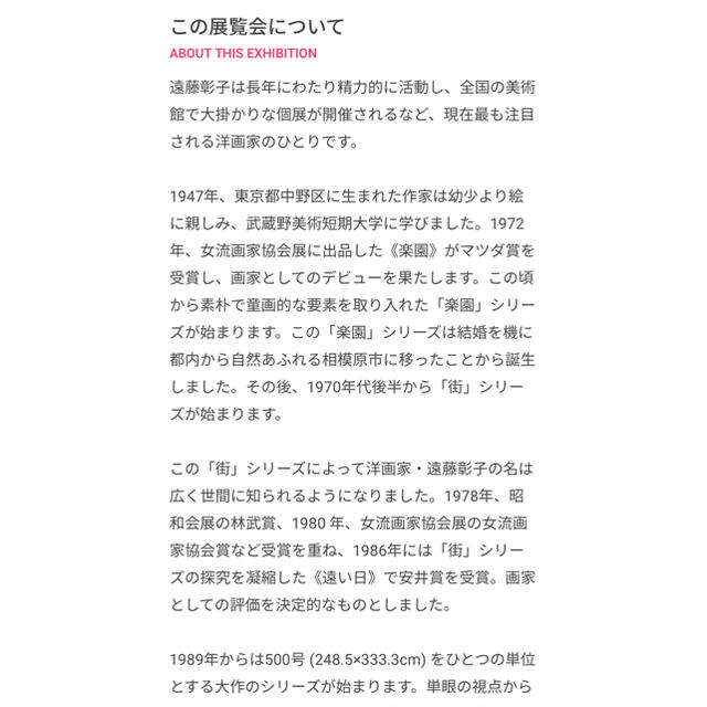 遠藤彰子展 平塚市美術館  ペアチケット 展示 チケットの施設利用券(美術館/博物館)の商品写真