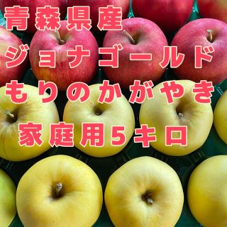 青森県産　りんご　ジョナゴールド　もりのかがやき　家庭用5キロ(フルーツ)