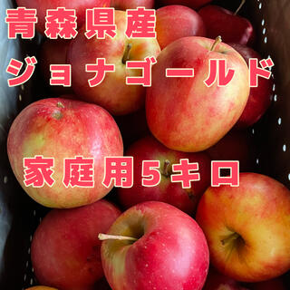 青森県産　りんご　ジョナゴールド　5キロ　家庭用(フルーツ)
