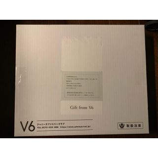 ブイシックス(V6)のV6 記念品　リーフレット(アイドルグッズ)