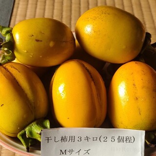 干し柿用渋柿❤️3㌔程25個程(フルーツ)