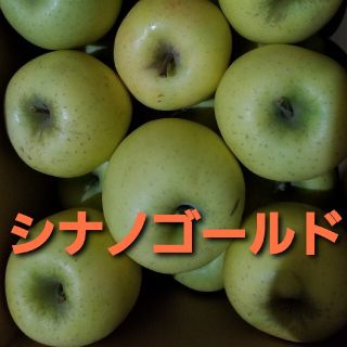 青森県産　シナノゴールド(フルーツ)