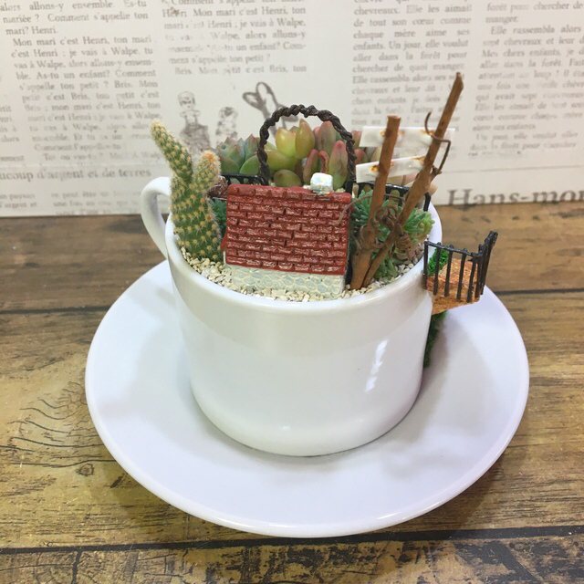 多肉植物の寄せ植え　妖精の庭 Coffee cup ハンドメイドのフラワー/ガーデン(その他)の商品写真