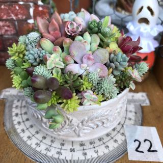 そのまま飾れる多肉植物の寄せ植え22 リメ缶 ハンドメイド(その他)