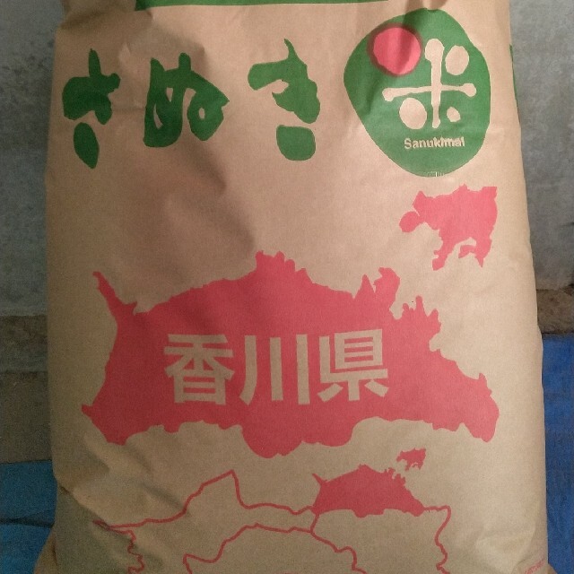 食品/飲料/酒新米 ヒノヒカリ 令和3年産