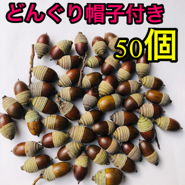 どんぐり　どんぐり帽子　どんぐり帽　クリスマス　リース　ツリー　パーツ　素材 ハンドメイドの素材/材料(各種パーツ)の商品写真