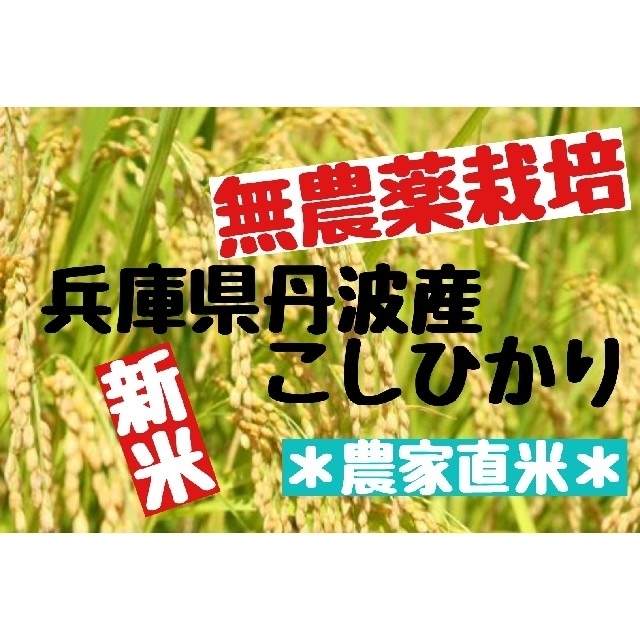 兵庫県丹波産こしひかり玄米10kg(令和3年産)