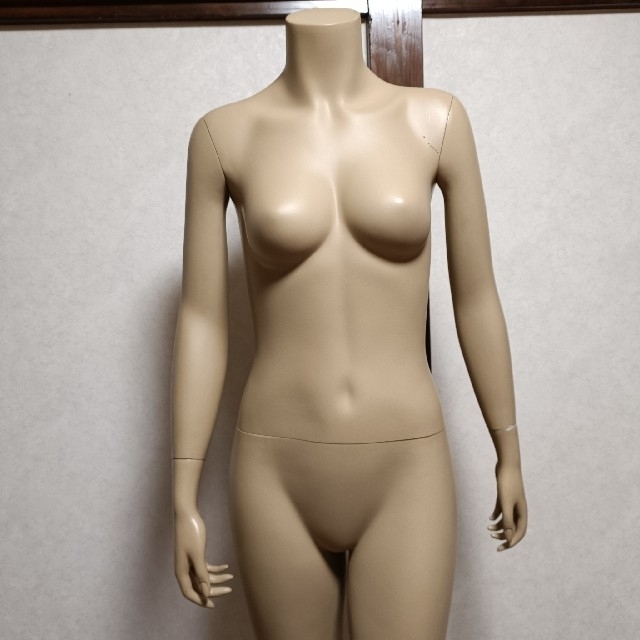 全身マネキン 女性 トルソー マネキン 台座付きの通販 by kitty 全身マネキン 女性 トルソー マネキン 台座付きの通販 by kitty
