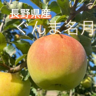 幻のリンゴ　ぐんま名月　家庭用2キロ箱込み(フルーツ)