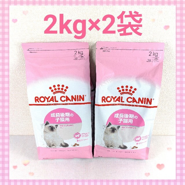 【新品未開封】ロイヤルカナン キトン  子猫用2kg×2袋セット