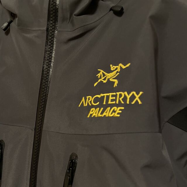 3arc'teryx palace alpha SV jacket 【初売り】 alaskataxlady.com