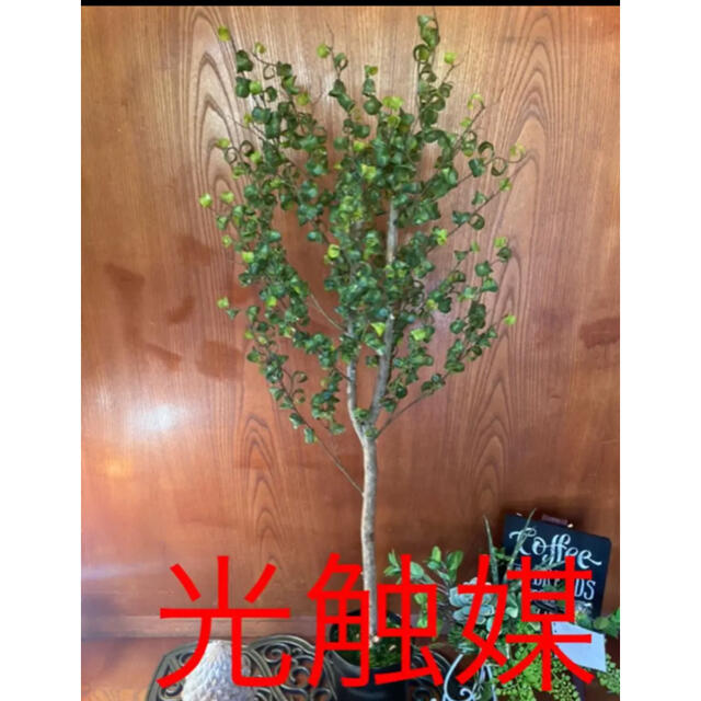 光触媒　人工観葉植物　ウォールグリーン　造花　アレンジ　ベンジャミンバロック12