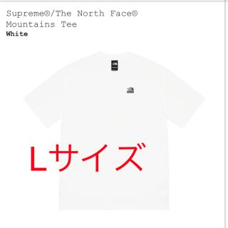 シュプリーム(Supreme)のSupreme The North Face Mountains Tee (Tシャツ/カットソー(半袖/袖なし))