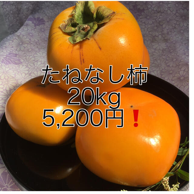 メーカー公式 ふるさと納税 先行予約 和歌山県産 平核無柿 ご家庭用 約10kg 和歌山県由良町