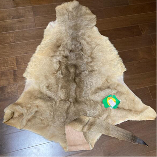 カンガルー 毛皮の通販 by tokii｜ラクマ