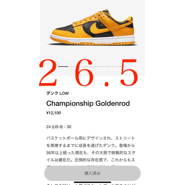 NIKE ダンクロー レトロ チャンピオンシップゴールド 27cm