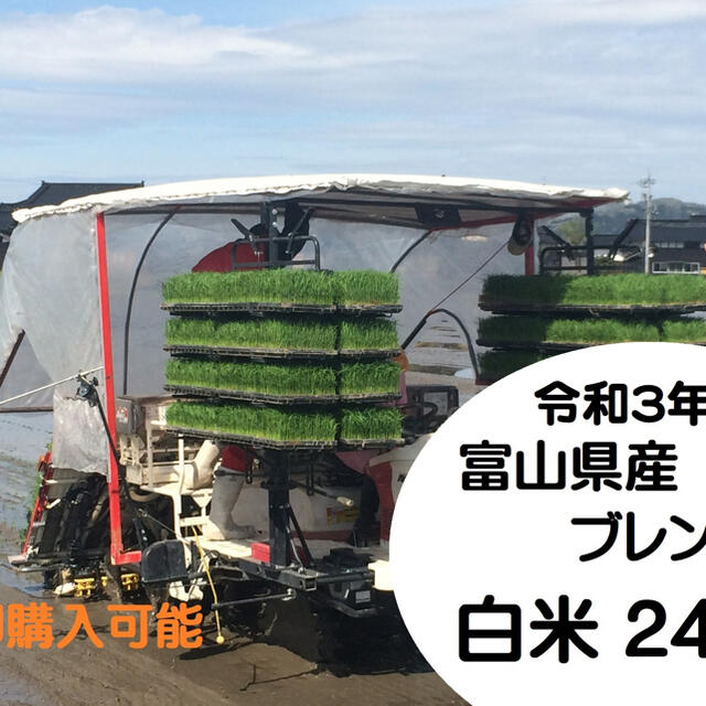 限界値下げ　令和3年富山県産ブレンド米24kg(送料無料)
