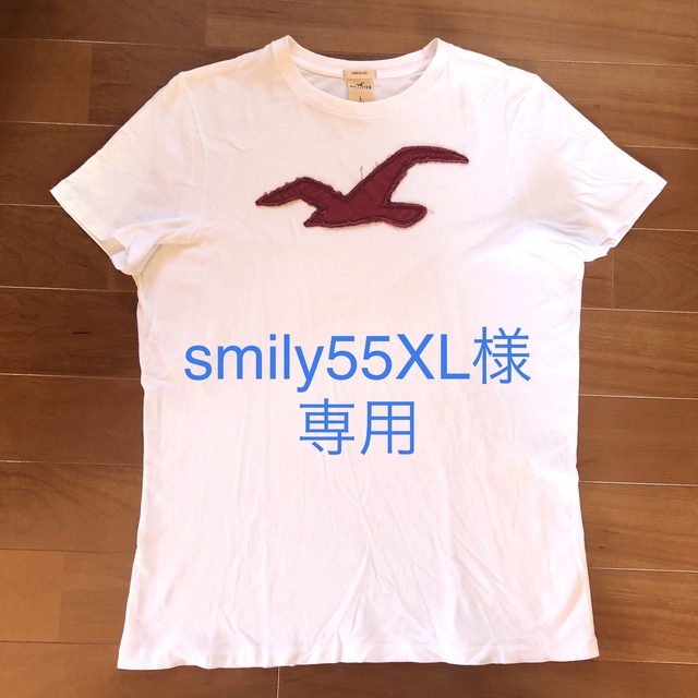 Hollister(ホリスター)のホリスター Hollister メンズTシャツ 白 メンズのトップス(Tシャツ/カットソー(半袖/袖なし))の商品写真