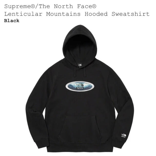supreme  the north face hoodie XL