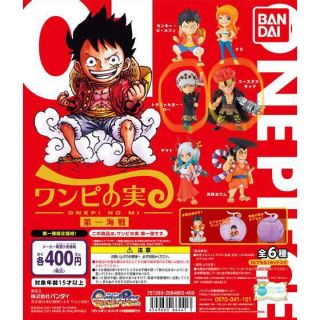 バンダイ(BANDAI)のワンピの実　第一海戦(キャラクターグッズ)