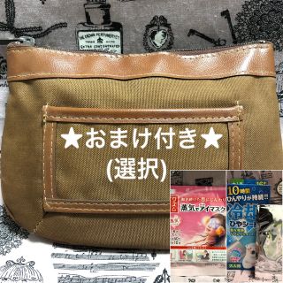 【条件有りで値下げ可能＊おまけ付き】ポーチ ② (カラー:ブラウン)(ウエストポーチ)