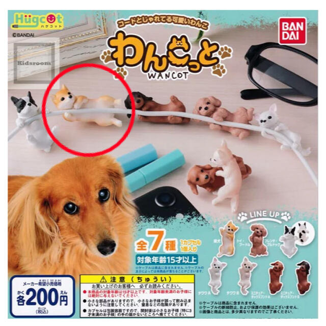 BANDAI(バンダイ)のケーブルアクセサリー  わんこっと 柴犬  エンタメ/ホビーのおもちゃ/ぬいぐるみ(キャラクターグッズ)の商品写真