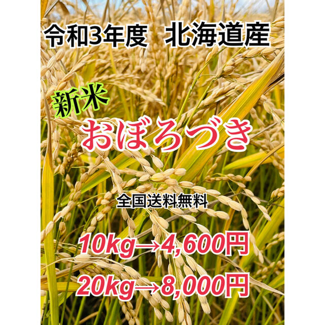 食品令和3年度産 北海道米  新米 おぼろづき20キロ・一等米・送料無料