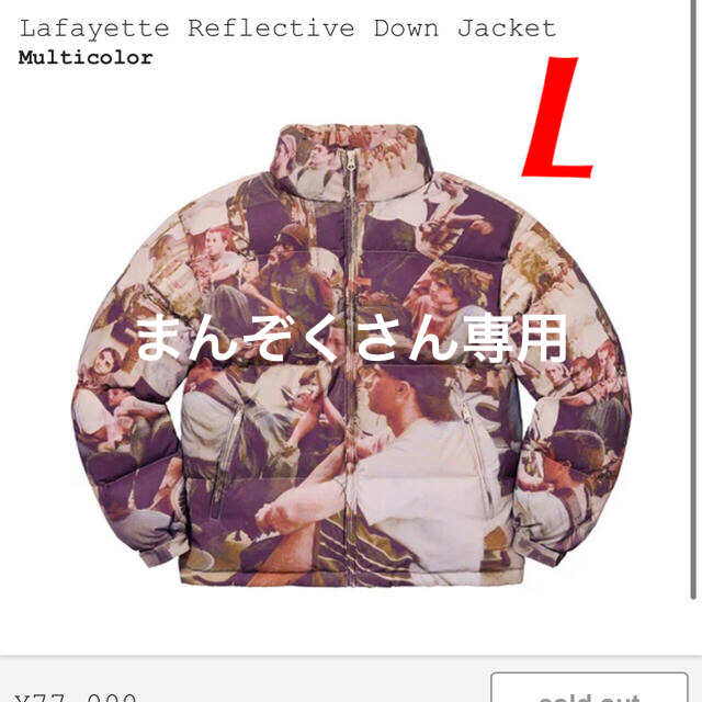 Supreme Lafayette Reflective Down Jacket