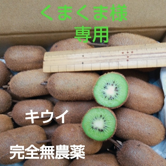 キウイフルーツ 食品/飲料/酒の食品(フルーツ)の商品写真