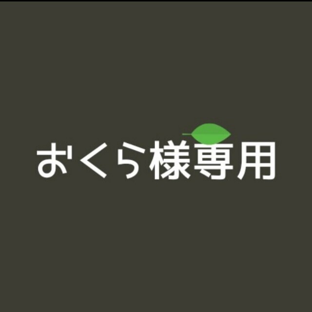 おくら様専用☆多肉植物 ハンドメイドのフラワー/ガーデン(その他)の商品写真