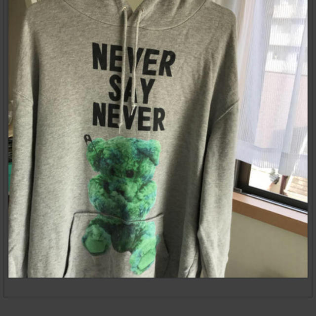 MILKBOY(ミルクボーイ)のMILKBOY NEVER SAY NEVER パーカー グレー× ミント くま レディースのトップス(パーカー)の商品写真