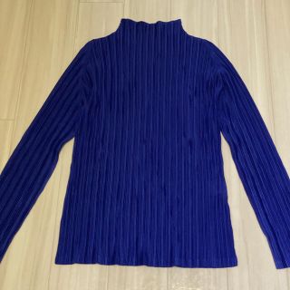 プリーツプリーズイッセイミヤケ(PLEATS PLEASE ISSEY MIYAKE)のプリーツプリーズイッセイミヤケ　ハイネック(カットソー(長袖/七分))