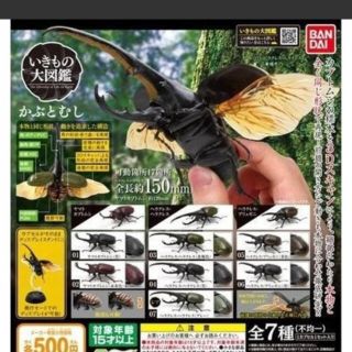 バンダイ(BANDAI)のいきもの大図鑑　カブトムシ　ヤマトカブトムシ(その他)