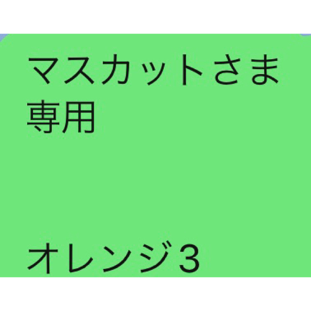 マスカットさま 専用   オレンジ3