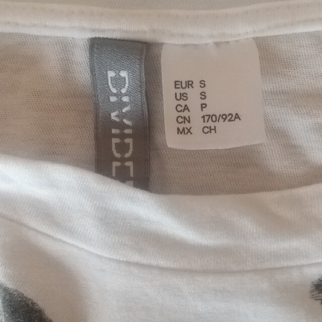 H&M(エイチアンドエム)のＨ＆Ｍ　エイチアンドエム　Ｔシャツ　サイズＳ メンズのトップス(Tシャツ/カットソー(半袖/袖なし))の商品写真