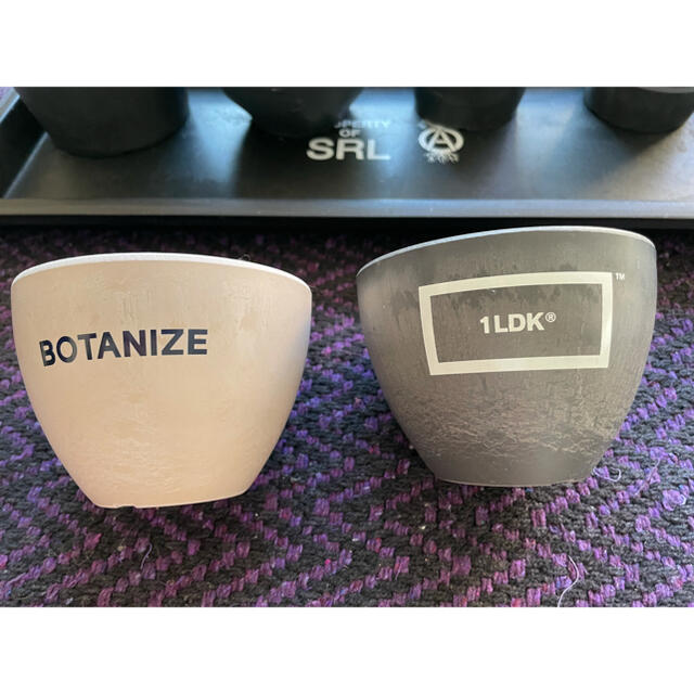 1LDK BOTANIZE Bowl  Pot 2色セット ボタナイズ 完売