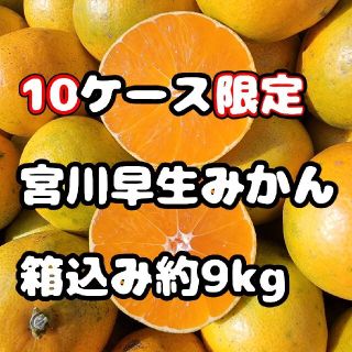 愛媛県産　宮川早生みかん　訳あり箱込み約9㎏　柑橘　ミカン　フルーツ (フルーツ)