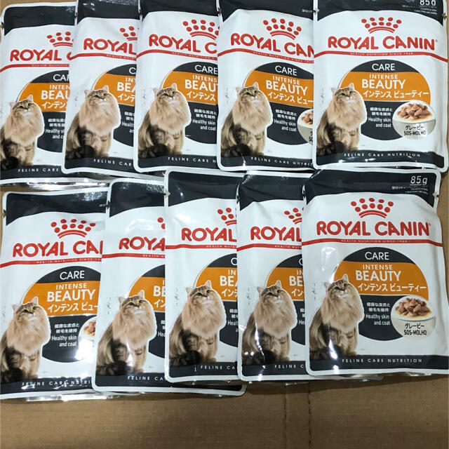 ROYAL CANIN(ロイヤルカナン)のロイヤルカナン 成猫用ウェットフード17袋 インテンスビューティ グレービー その他のペット用品(ペットフード)の商品写真