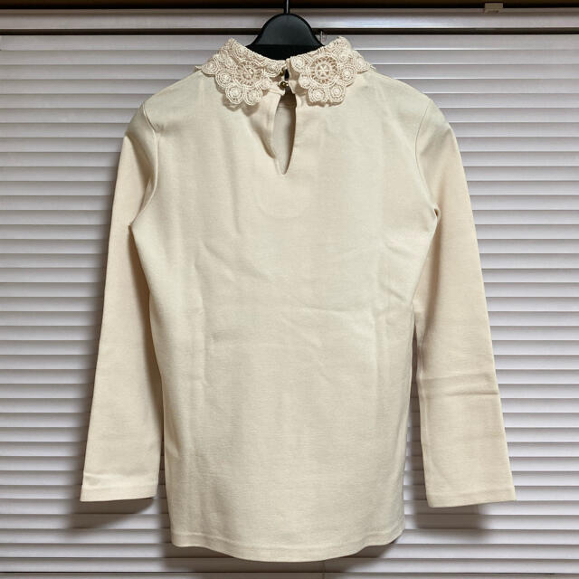 ZARA(ザラ)のZARA レースカラートップス レディースのトップス(カットソー(長袖/七分))の商品写真