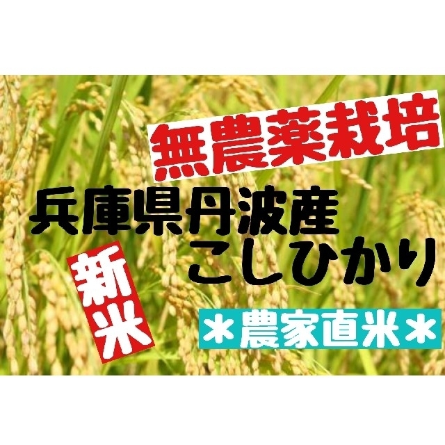 兵庫県丹波産こしひかり精米9kg(令和3年産)