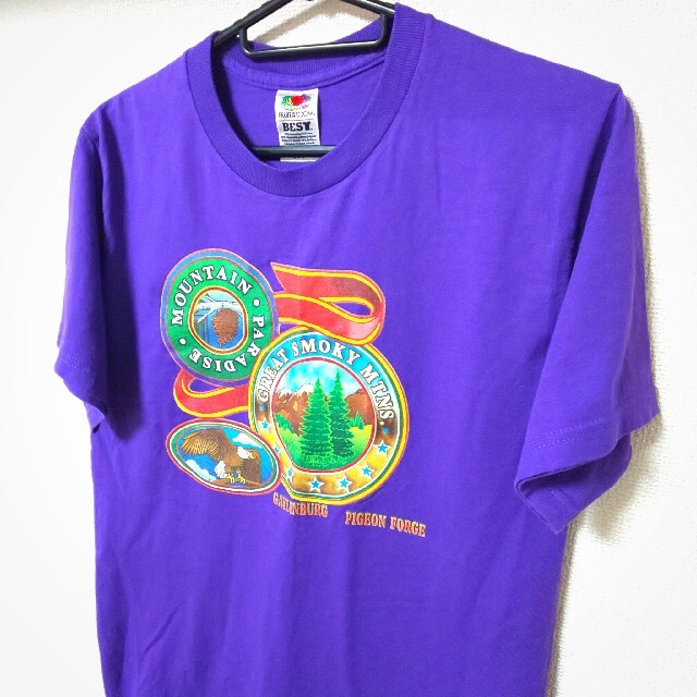 FRUIT OF THE LOOM フルーツオブザルーム 半袖 Tシャツ S メンズのトップス(Tシャツ/カットソー(半袖/袖なし))の商品写真