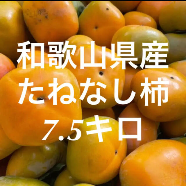 和歌山県産 たねなし柿 ご家庭用 食品/飲料/酒の食品(フルーツ)の商品写真