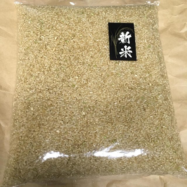 新米 あきたこまち 令和5年産 長野戸隠高原産 精白米20kg 送料込 格安販売 食品/飲料/酒の食品(米/穀物)の商品写真