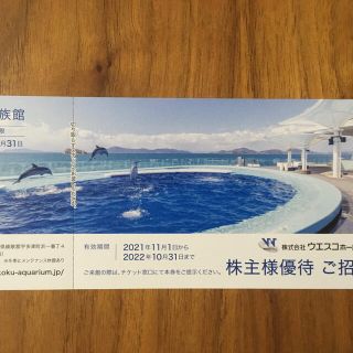 四国水族館　株主優待券1枚(水族館)