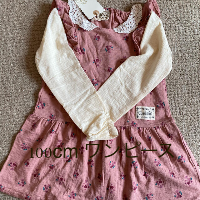 100cm ワンピース キッズ/ベビー/マタニティのキッズ服女の子用(90cm~)(ワンピース)の商品写真